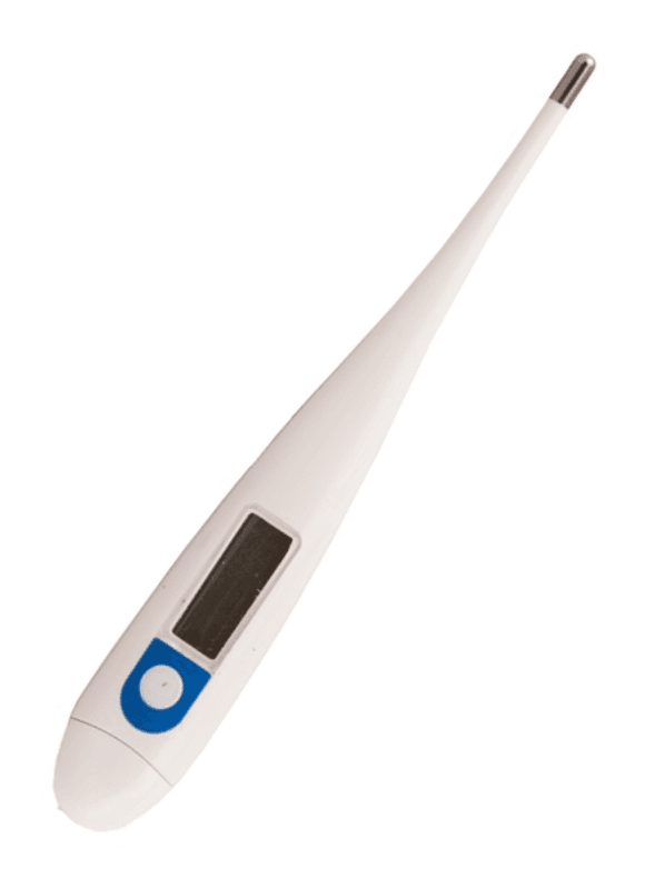 Digitalt Termometer