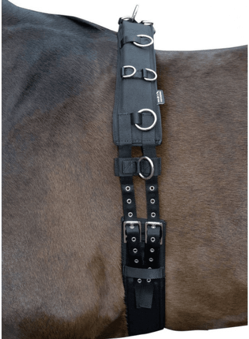 Hovedbilde Longeringsgjord m/neopren