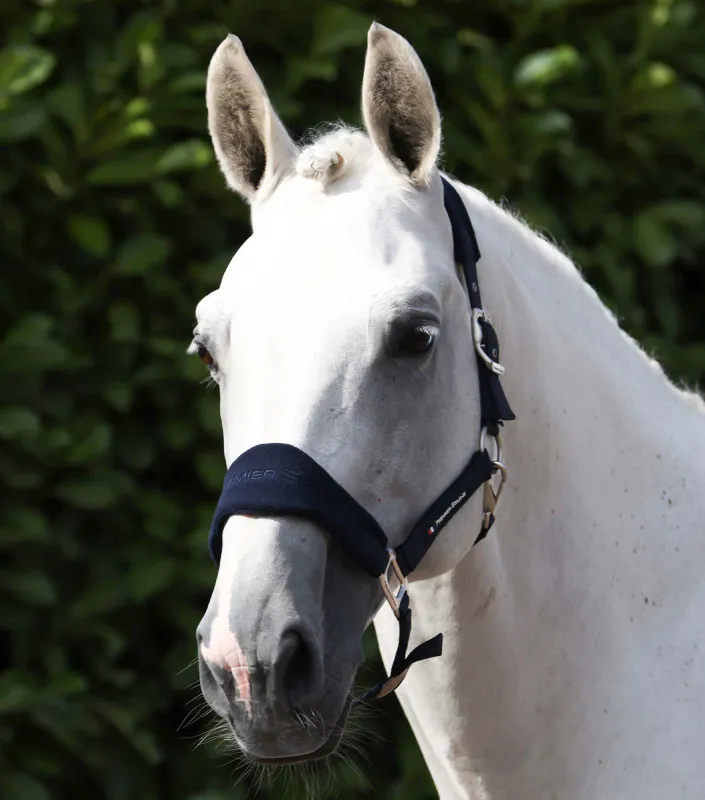 PE Fleece Padded Head Collar with Lead Rope Navy