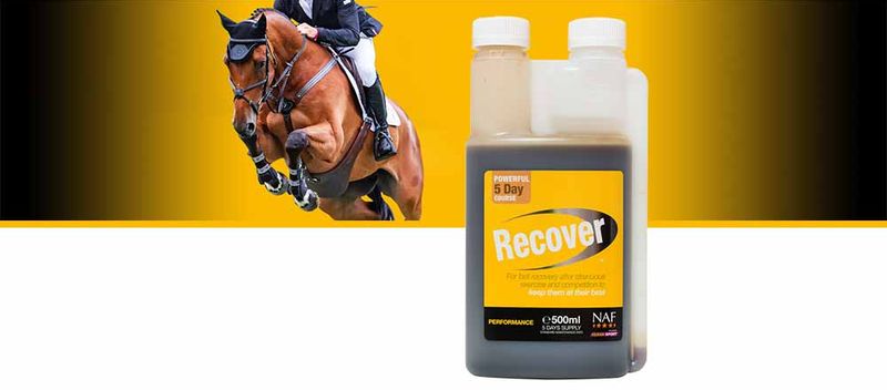 NAF Recover 500ml 