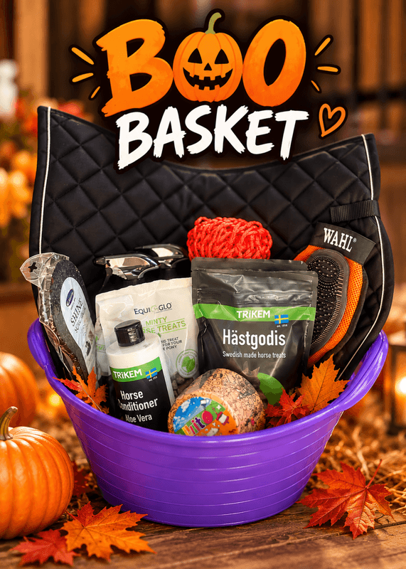 🎃 BOO BASKET – Til hest & rytter 