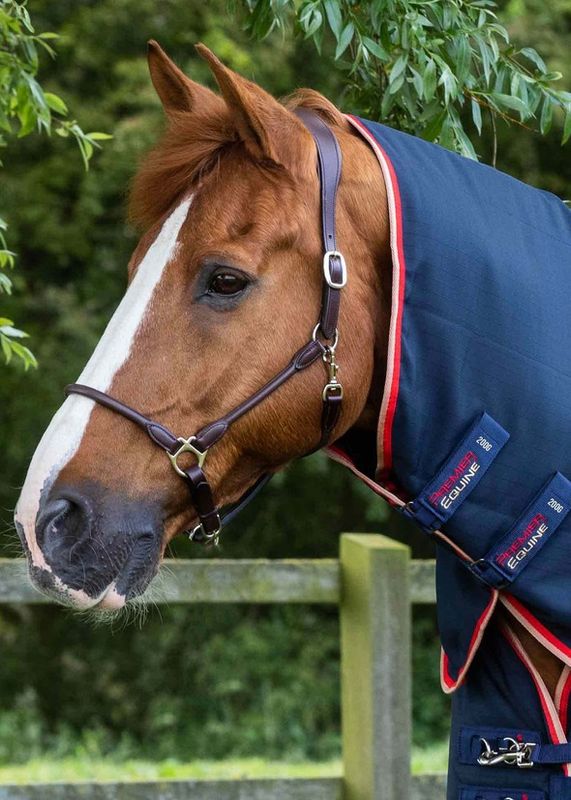 PE Stable Buster 450g Stable Rug with Neck Cover Navy