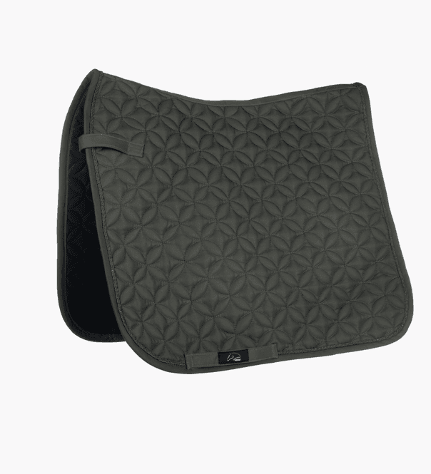 Hovedbilde Sjabrakk -Daphne- Dressur (flere farger)