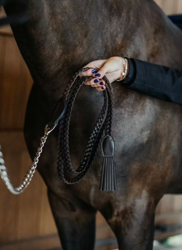 Dyon Plaited Lead With Chain