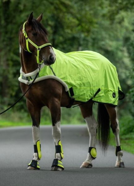 Hovedbilde Walker Dekken - reflective -