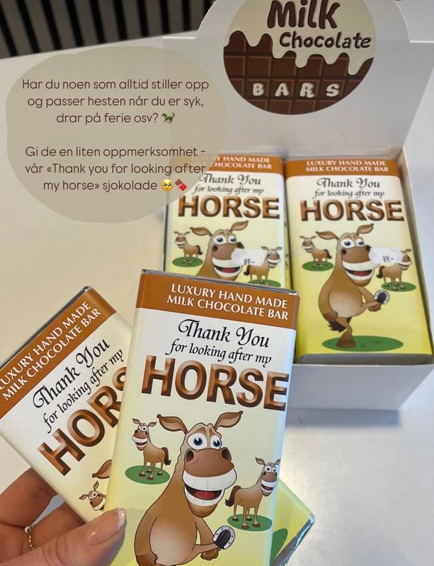 Sjokolade - Thank You For Looking After My Horse