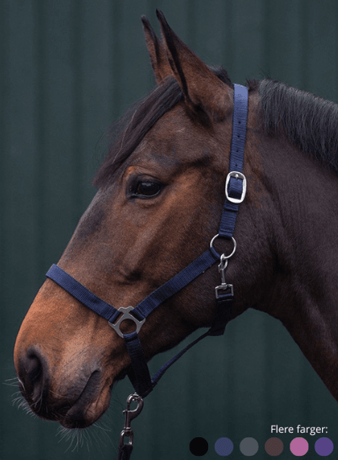 Hovedbilde Innsbruck Grime