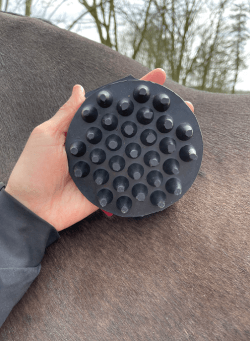 Hovedbilde Massasje-børste