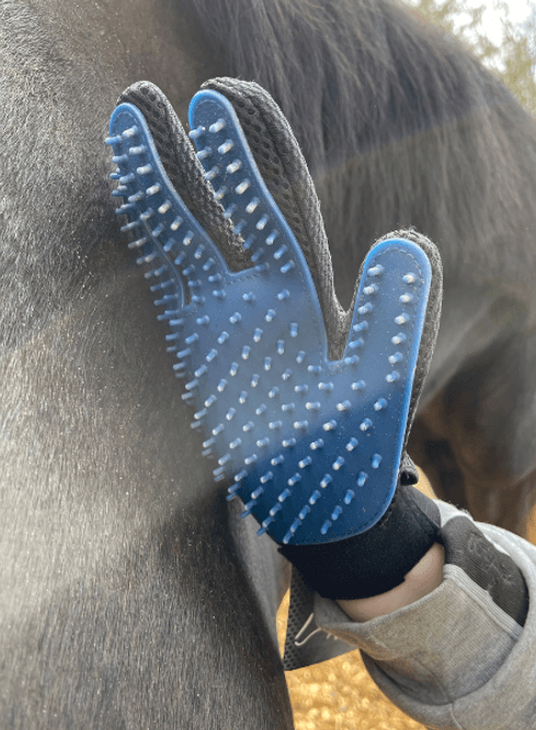 Hovedbilde Grooming Glove 