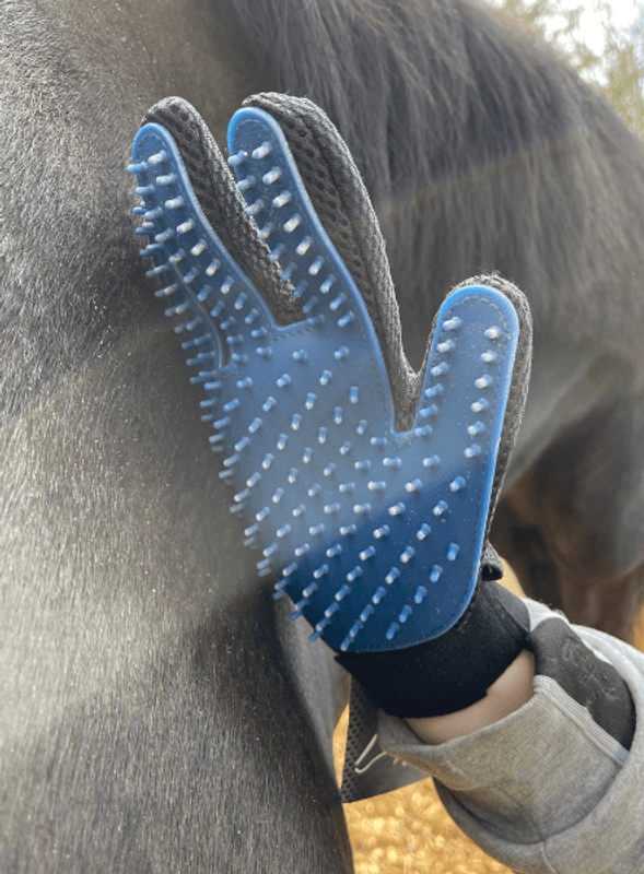 Grooming Glove 